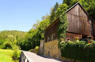Garagen kaufen in 91346 Wiesenttal, Scheune mit Keller und Einzelgarage - Nähe Draisendorf bei Wiesenttal