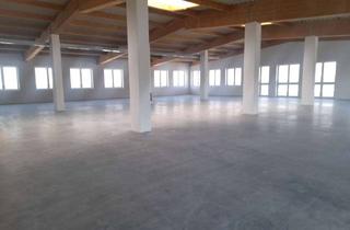 Lager mieten in 73235 Weilheim, Neuwertige Tanz - Sport - Halle mit fantastischen Fernblick