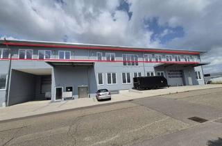 Lager mieten in 73235 Weilheim, Moderne Tanz - Sport - Halle mit fantastischen Fernblick