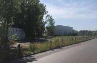 Büro zu mieten in 15806 Zossen, Autohandel Freifläche ab 10 Autos mit Büro möglich (kein UBER), Stellplatz, ca 2.900m² für Sofort!