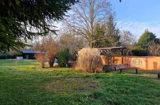 Wohnung kaufen in 06792 Sandersdorf, KP auf Anfrage 4-Zi-Wohnung mit Garten, Dachbalkon & Stellplatz – Ruhige Lage in Sandersdorf EBKÜ