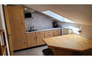 Wohnung mieten in 65589 Hadamar, Vollmöblierte 1-Zimmer-Wohnung in Hadamar-Oberweyer