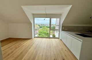 Wohnung mieten in 89129 Langenau, moderne 4-Zimmer-Neubau-Wohnung mit Einbauküche in Langenau-Albeck - Erstbezug