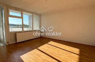Wohnung mieten in 91207 Lauf, Attraktive 2-Zimmer-Eigentumswohnung mit Westloggia und Weitblick über Lauf