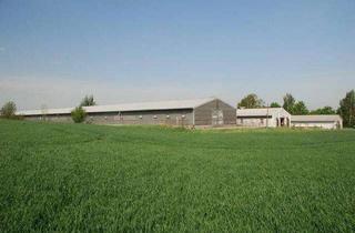 Büro zu mieten in 01665 Klipphausen, Großzügige Halle mit separatem Büro! Die ideale Lagerfläche in ländlicher Umgebung