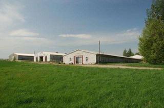 Büro zu mieten in 01665 Klipphausen, Großzügige Halle mit separatem Büro! Die ideale Lagerfläche in ländlicher Umgebung