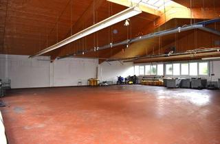 Büro zu mieten in 33034 Brakel, Ebenerdige Industriehalle mit Bürotrakt in Brakel
