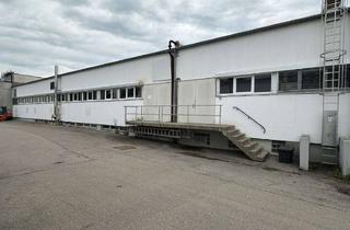 Gewerbeimmobilie mieten in 88299 Leutkirch, Attraktive Produktions-/Lagerhalle mit sehr guter Infrastruktur in Leutkirch i.A. mit ca. 1.860 m²