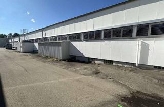 Gewerbeimmobilie mieten in 88299 Leutkirch, Attraktive Produktions-/Lagerhallen, sehr guter Infrastruktur in Leutkirch (700 m²+1250 m²+1860 m²)