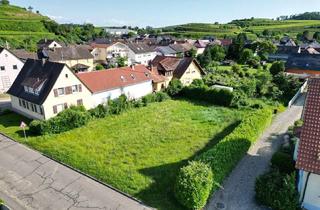 Grundstück zu kaufen in Rosenstraße 24, 79361 Sasbach, Attraktives Baugrundstück in Jechtingen - 1.184 m² - teilbar - top Lage am Kaiserstuhl