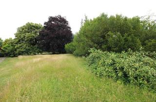 Grundstück zu kaufen in 74838 Limbach, Baugrundstück ohne Bebauungspflicht...