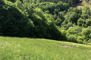 Grundstück zu kaufen in 69412 Eberbach, großes Grundstück in Eberbach (Friedrichsdorf)