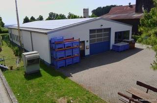 Gewerbeimmobilie kaufen in 92665 Kirchendemenreuth, Gut gelegene Gewerbehalle zur Eigennutzung oder als Kapitalanlage in Kirchendemenreuth