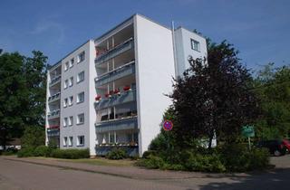 Wohnung mieten in Tilsiter Weg, 32339 Espelkamp, Seniorenwohnung im Herzen von Espelkamp