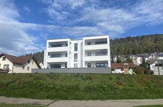 Wohnung mieten in Beethovenstraße, 78194 Immendingen, Hochwertige, frisch renovierte 3 Zimmer Wohnung in zentraler Wohnlage inkl. Einbauküche