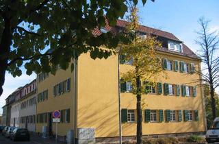 Wohnung mieten in Justus-Jonas-Straße 22, 99734 Nordhausen, Gemütliche 2-Raumwohnung in Zentrumsnähe