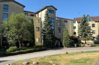 Wohnung mieten in Denkmalsweg 25 b, 04860 Torgau, +++ Geräumige schöne 1 Raum-Wohnung mit Balkon - Teilrenoviert, 1 NKM-Erlass +++