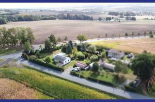 Haus kaufen in 07806 Neustadt, Grüne Oase am Stadtrand