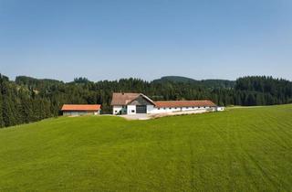 Bauernhaus kaufen in 87487 Wiggensbach, Bauernhof in Alleinlage mit 135 359 m ² landwirtschaftliche Wiesen und Wald bei Kempten