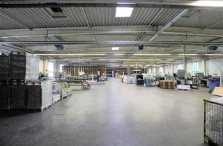 Büro zu mieten in Landsberger Allee, 13053 Alt-Hohenschönhausen, RARITÄT IN BERLIN! Stützenfreie Produktionshalle mit Büro nahe Landsberger Allee! Sofort verfügbar!