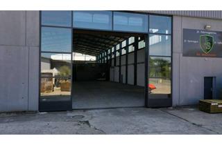Gewerbeimmobilie mieten in 24220 Flintbek, zu Vermieten: Gewerbehallenfläche in Flintbek, 900 m² - LKW befahrbar