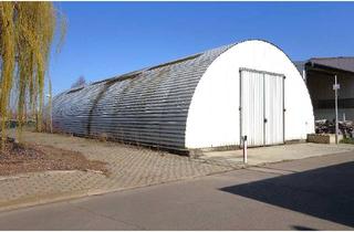 Gewerbeimmobilie mieten in Brehnaer Straße 38, 04509 Delitzsch, Lager, Werkstatt, Produktion - Vielseitig nutzbare Rundhalle