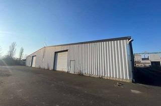 Gewerbeimmobilie kaufen in Brehnaer Straße 38, 04509 Delitzsch, Vielseitig nutzbare Lager - und Produktionshalle mit großzügiger Fläche
