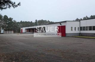 Gewerbeimmobilie mieten in 15528 Spreenhagen, 4.100 m² preiswerte Lager-/Archivhalle teilbar ab 1.800 m² *2920*