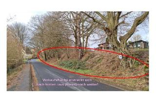 Grundstück zu kaufen in 37170 Uslar, unbebautes Grundstück in Uslar