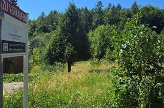 Grundstück zu kaufen in 53578 Windhagen, Schönes Baugrundstück in Windhagen, nahe Golfplatz, Wirtgen und Sportpark, ruhige Lage