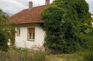 Grundstück zu kaufen in Hirschberg 11, 92339 Beilngries, Schönes Baugrundstück mit Altbestand in Hirschberg (Beilngries)