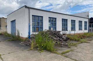 Büro zu mieten in Clara-Zetkin-Straße 34, 06862 Roßlau, Werkstatt-Halle mit Lagerplatz an umzäuntem & gepflegten Standort