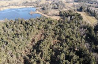 Gewerbeimmobilie kaufen in 83137 Schonstett, Traumhaftes, bewaldetes Freizeitgrundstück am Ameranger See bei Schonstett