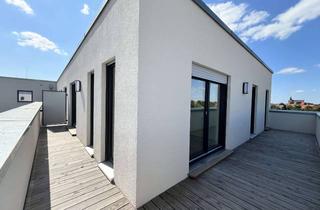 Wohnung mieten in 04509 Delitzsch, **Moderne Zwei-Zimmer-Wohnung** mit Panorama-Dachterrasse und Weitblick (WE034)