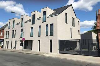 Wohnung mieten in Surenburgstraße 33, 48429 Rheine, Neuwertige DG-Wohnung mit drei Zimmern und Balkon (Energieträger Erdwärme)