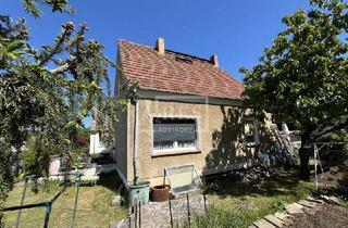 Einfamilienhaus kaufen in 03159 Döbern, modernisierungsbedürftiges Einfamilienhaus in Döbern