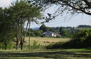 Bauernhaus kaufen in An Der Stumpfen Kirche, 63688 Gedern, Aussiedlerhof in schöner Lage / Bauernhof / Reiterhof / Haus
