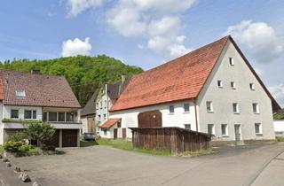 Bauernhaus kaufen in 89601 Schelklingen, Geräumiges Haus mit großem Grundstück und Lagerflächen direkt an der Schmiech