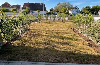 Wohnung kaufen in 63512 Hainburg, Hainburg - 3-Zimmer Erdgeschoss-Wohnung mit großen Garten NEUBAU KfW 55
