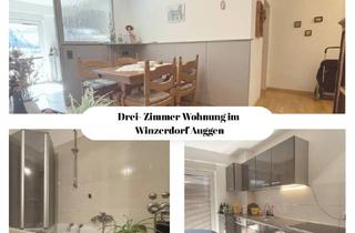 Wohnung kaufen in 79424 Auggen, Komfortable Wohnung mit Balkon und Aufzug in Auggen