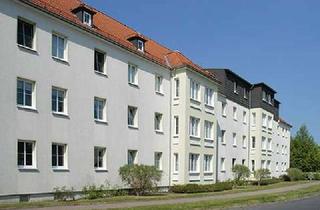 Wohnung mieten in Essener Str. 39, 06846 Ziebigk, 2-Raum-Wohnung im Erdgeschoss in Ziebigk