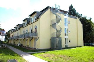 Wohnung mieten in 95448 Hammerstatt, **Gemütliche 1-Zimmer-DG-Wohnung für Studenten**