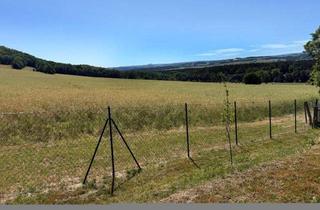 Grundstück zu kaufen in 01728 Possendorf, Baugrundstück mit spektakulärem Fernblick – eine seltene Gelegenheit