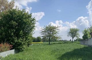 Doppelhaushälfte kaufen in 67269 Grünstadt, Grünstadt-Asselheim - Neubau einer Doppelhaushälfte mit ca. 290 m Areal