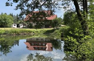 Haus kaufen in 34431 Marsberg, Grundstück das mehr kann - für Menschen mit Weitblick und großen Plänen