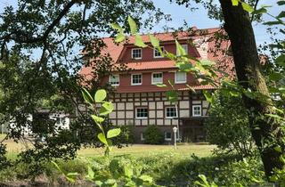 Haus kaufen in 34431 Marsberg, Grundstück das mehr kann - für Menschen mit Weitblick und großen Plänen