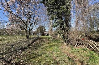 Haus kaufen in 52379 Langerwehe, AllFa - Bemerkenswertes Haus für junge Familien oder Paare mit viel Potential in Langerwehe-Schlich!