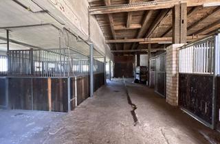 Bauernhaus kaufen in 37574 Kreiensen, Traumhafter Resthof mit 3 Wohnungen, großem Bauernhof und Pferdeparadies auf 2 Hektar Land