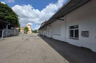 Gewerbeimmobilie mieten in Frauensteiner Str. 47, 09599 Freiberg, Halle und Freifläche in zentraler Lage von Freiberg