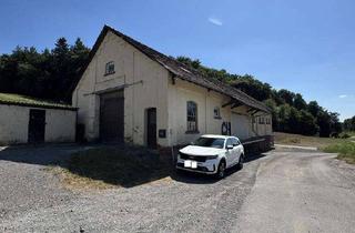 Gewerbeimmobilie kaufen in 74858 Aglasterhausen, Lagerhalle mit Freifläche